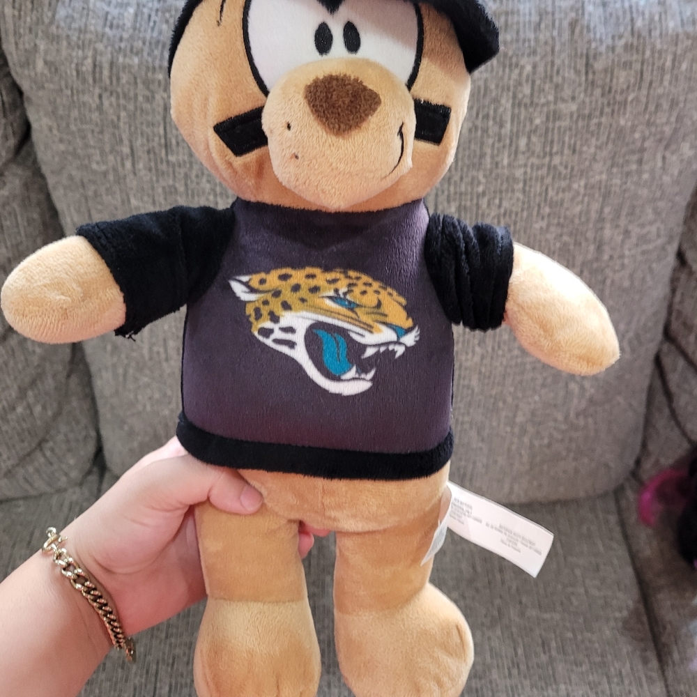 Jacksonville Jaguars - Picture 2 of 8